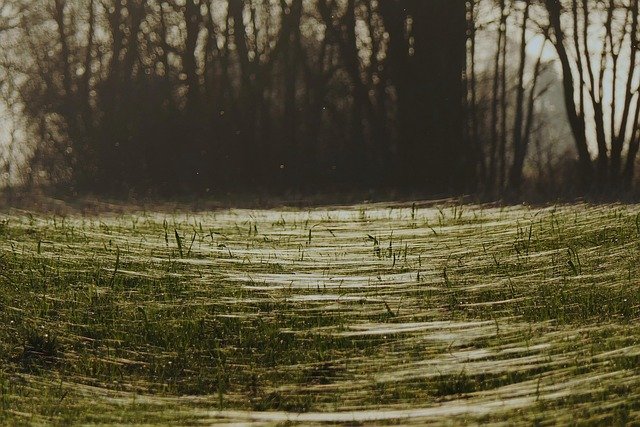 La Araña y Otros Juegos de Cadena: Historia y Cultura Lúdica