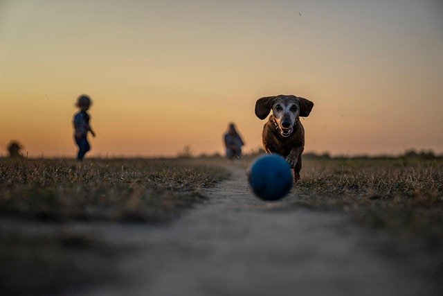 Juegos similares a la gallinita ciega para fiestas infantiles